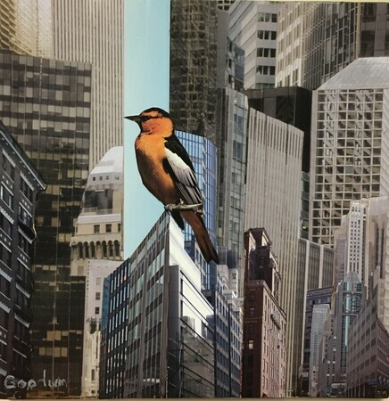 Birds in the City # 11  Collage  10x10  C$370
