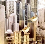 Birds in the City # 6  Collage  10x10  C$370