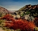 Springtime in the Santa Rosa Mountains  20x24 Oil on canvas